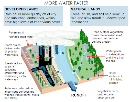 Water runoff in urban versus natural land use.